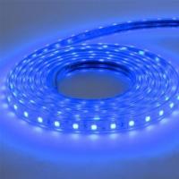 Светодиодная влагозащищенная лента Horoz 6W/m 60LED/m 5050SMD синий 50M 081-004-0001 (HL543L) HRZ00001188