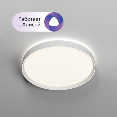 Потолочный светильник Denkirs Plato DK6511-WH/1