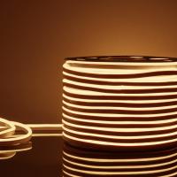 Светодиодный гибкий неон Elektrostandard 220V 9,6W 120Led 2835 IP67 односторонний теплый белый, 50 м 4690389167355