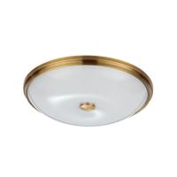 Настенно-потолочный светильник Odeon Light Pelow 4956/5