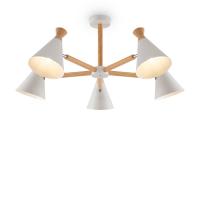 Люстра на штанге Freya Rise FR5169PL-05W