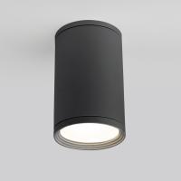 Уличный потолочный светильник Elektrostandard Light 4690389175909