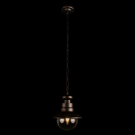 Уличный подвесной светильник Loft IT Piemonte 100022P