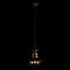Уличный подвесной светильник Loft IT Piemonte 100022P