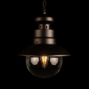 Уличный подвесной светильник Loft IT Piemonte 100022P