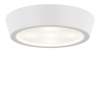 Потолочный светильник Lightstar Urbano Mini LED 214704
