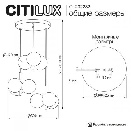 CL202232
