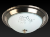 Накладной светильник Toplight Molly TL5020Y-02AB