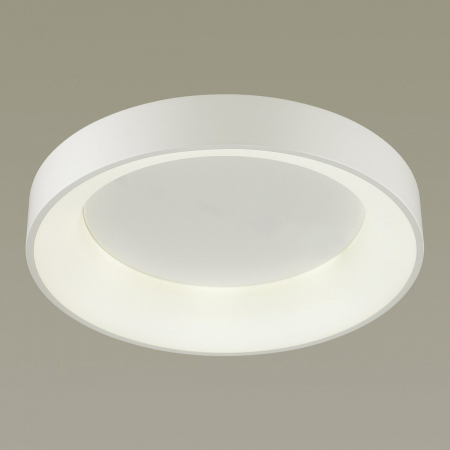Потолочный светодиодный светильник Odeon Light Sole 4066/40CL