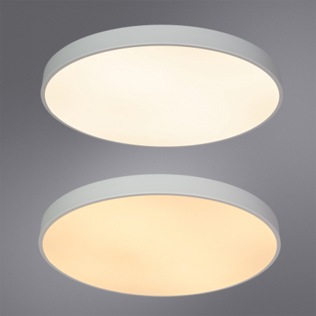 Потолочный светодиодный светильник Arte Lamp Arena A2671PL-1WH