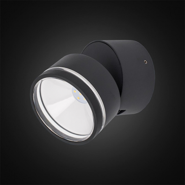 Уличный настенный светодиодный светильник Citilux CLU0008R