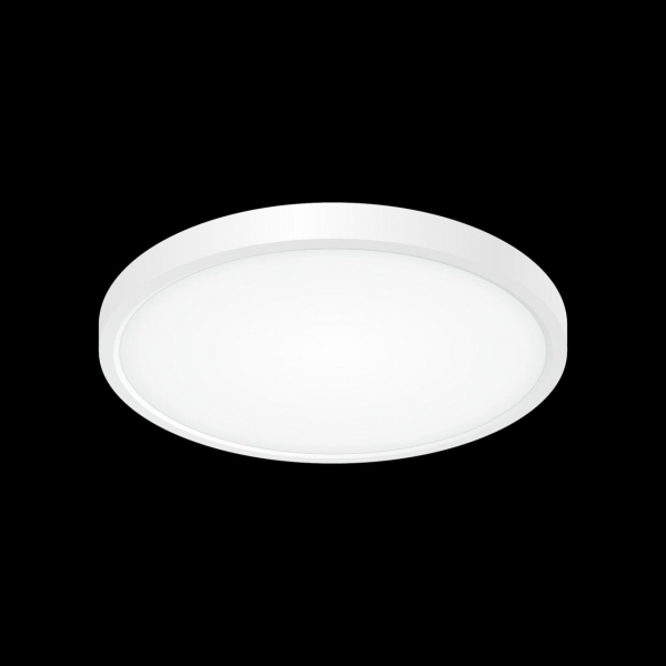 Накладной светильник Citilux CL738240V