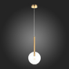 Подвесной светильник ST-Luce SL1054.203.01