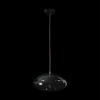 Подвесной светильник Loft IT 8134-D