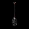 Подвесной светильник Loft IT 8133-A