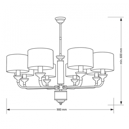 VER-ZW-6(P)