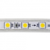 Светодиодная влагозащищенная лента Horoz 6W/m 60LED/m 5050SMD синий 50M 081-004-0001 (HL543L) HRZ00001188
