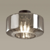 Потолочный светильник Odeon Light BINGA 4746/1C