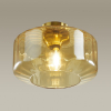 Потолочный светильник Odeon Light BINGA 4747/1C