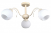 75146/3C BEIGE GOLD