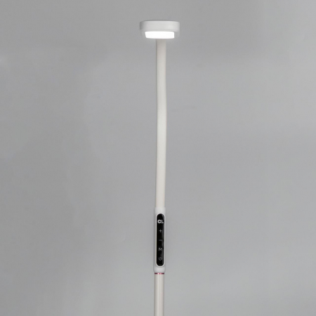 Торшер Citilux CL804020