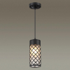 Уличный светильник Odeon Light 4834/1