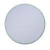 Потолочный светильник Loft IT AXEL 10001/36 Green