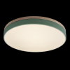 Потолочный светильник Loft IT AXEL 10001/36 Green