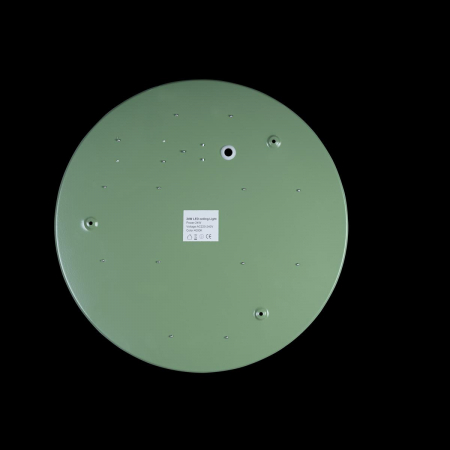Потолочный светильник Loft IT AXEL 10002/24 Green