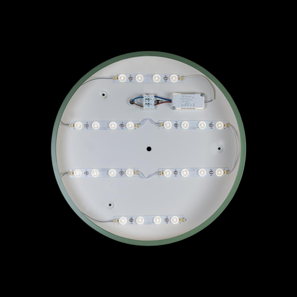 Потолочный светильник Loft IT AXEL 10002/24 Green
