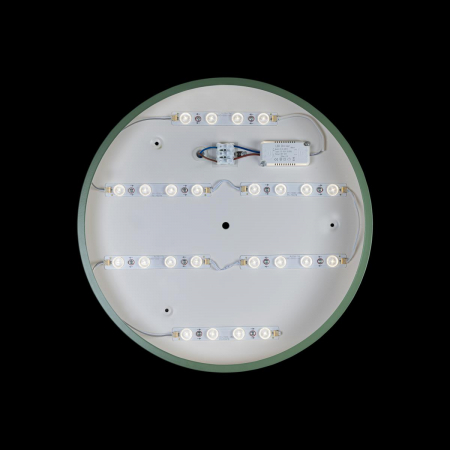 Потолочный светильник Loft IT AXEL 10002/24 Green