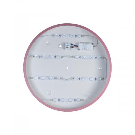 Потолочный светильник Loft IT AXEL 10002/24 Pink