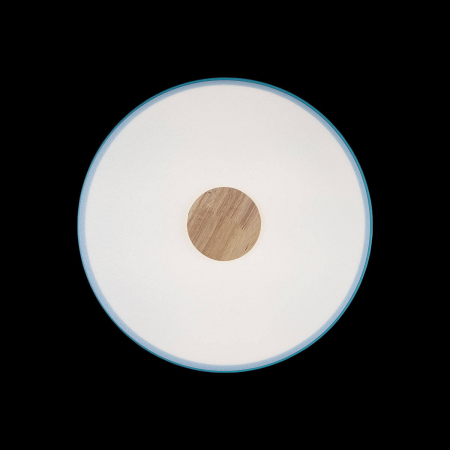 Потолочный светильник Loft IT AXEL 10003/24 Blue