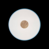Потолочный светильник Loft IT AXEL 10003/24 Blue