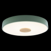 Потолочный светильник Loft IT AXEL 10003/24 Green