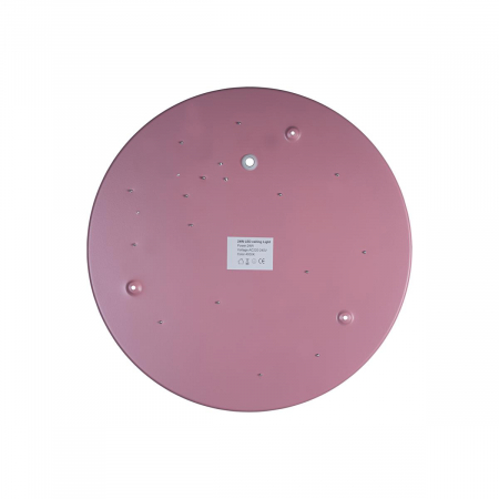 Потолочный светильник Loft IT AXEL 10003/24 Pink