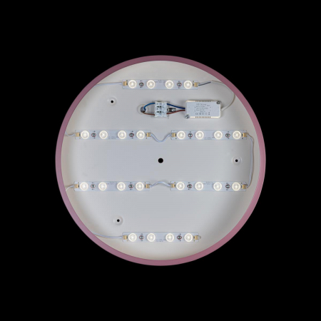 Потолочный светильник Loft IT AXEL 10003/24 Pink