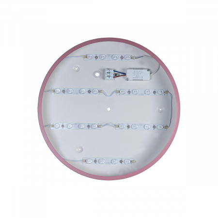 Потолочный светильник Loft IT AXEL 10003/24 Pink
