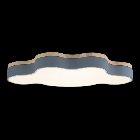 Потолочный светильник Loft IT AXEL 10005/36 Grey