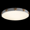 Потолочный светильник Loft IT AXEL 10006/36 White