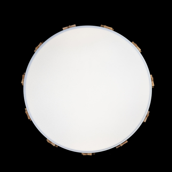 Потолочный светильник Loft IT AXEL 10006/36 White