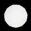Потолочный светильник Loft IT AXEL 10006/36 White