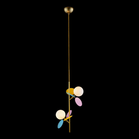 Потолочный светильник Loft IT Matisse 10008/2P mult