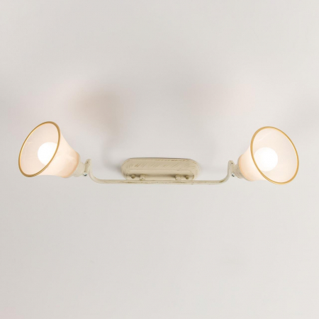 Спот Citilux Прованс CL511524