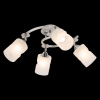 CL119240