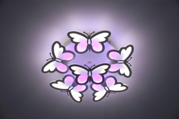 10205/5LED