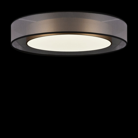 Потолочный светильник Freya Zoticus FR6005CL-L48G