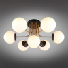 APL.906.17.07