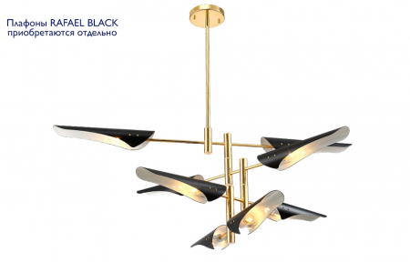 RAFAEL SP8 GOLD