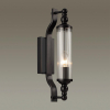 Уличный настенный светильник Odeon Light Tolero 4941/1W